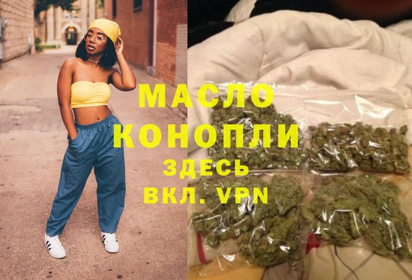 spice Богородицк