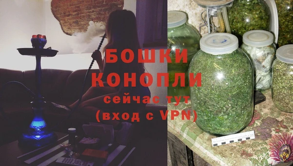 spice Богородицк