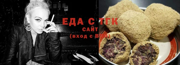 spice Богородицк