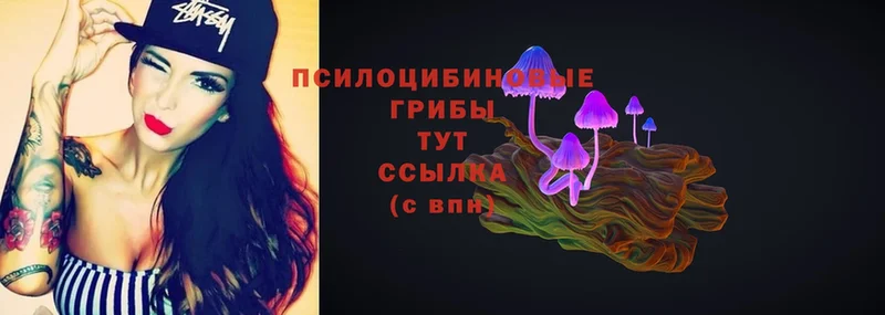 Галлюциногенные грибы MAGIC MUSHROOMS  Морозовск 