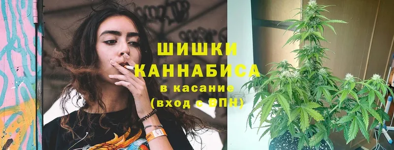 Шишки марихуана THC 21%  Морозовск 